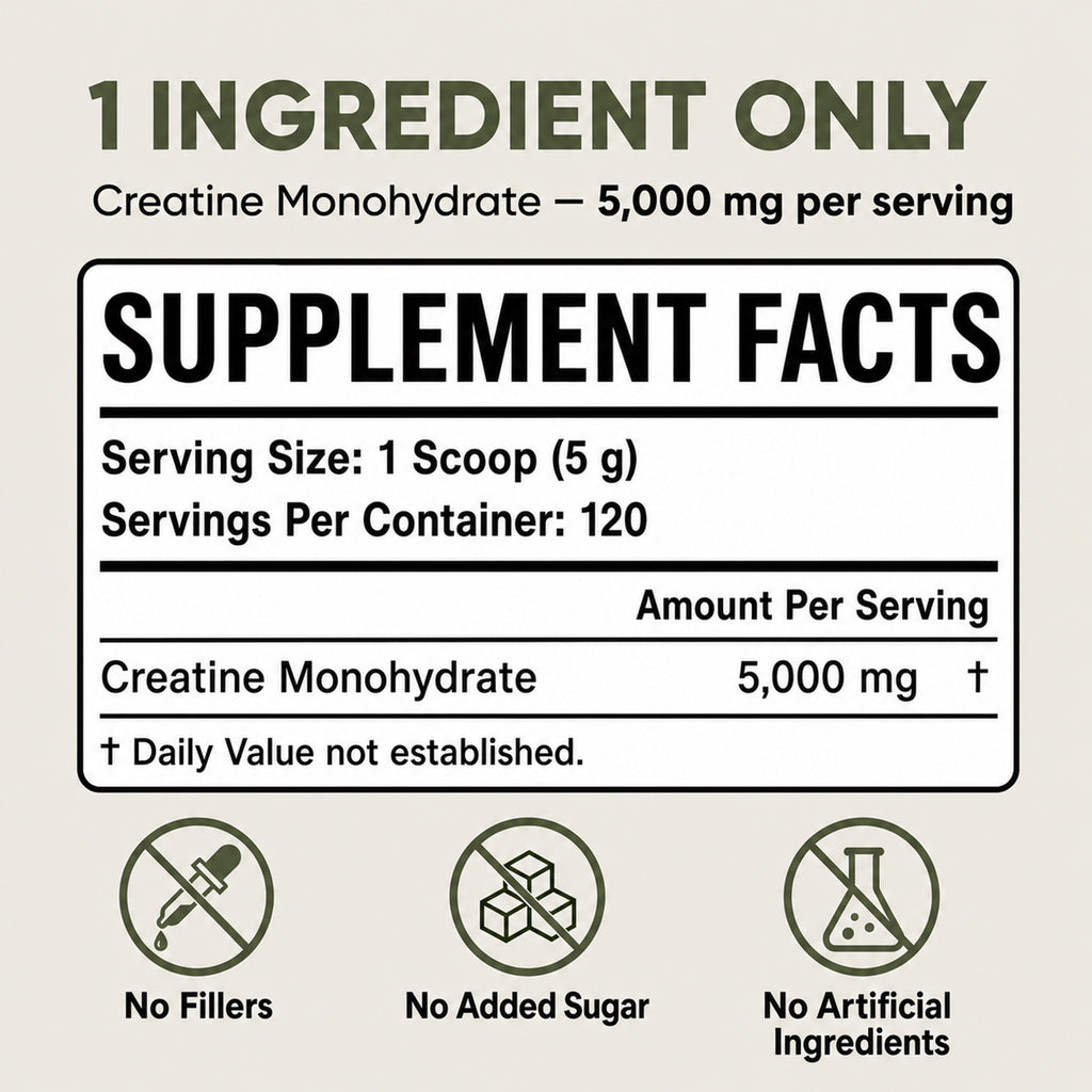 Micronized Creatine Monohydrate Powder Unflavored 600g, 120 Servings, 5g Per Serving, Third-Party Tested, No Fillers, Vegan, Clean Performance & Recovery Support